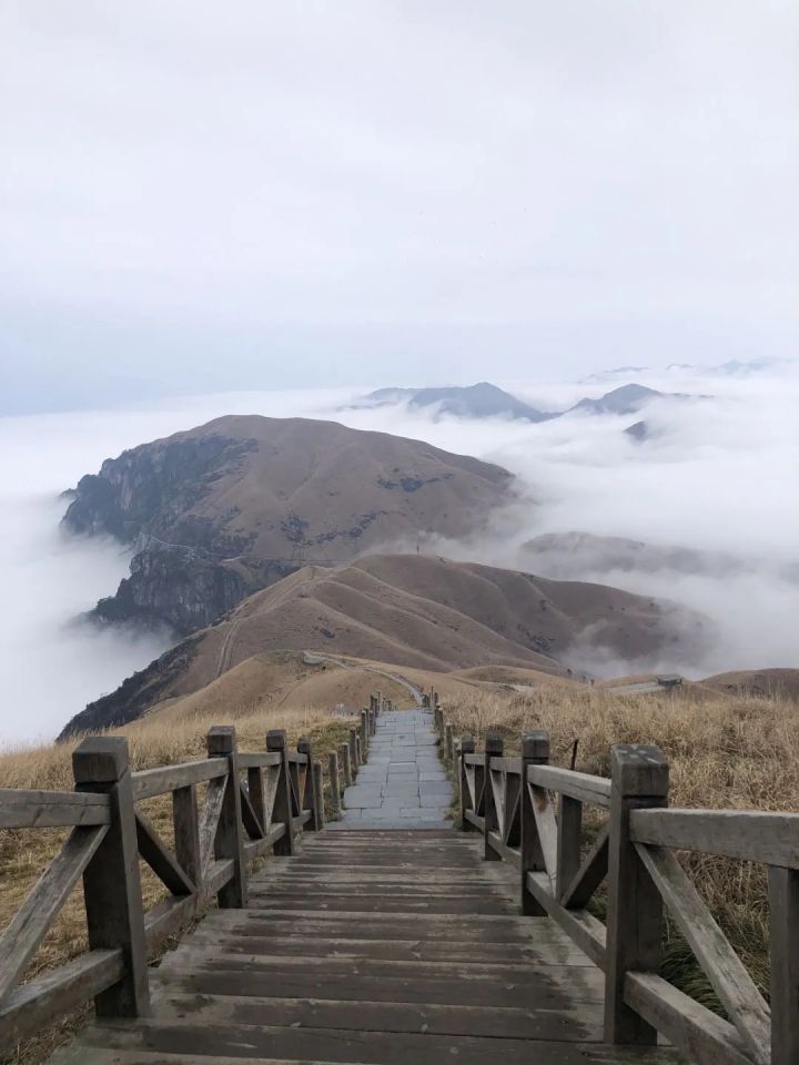 1627459332389566.jpg 640.webp (4).jpg