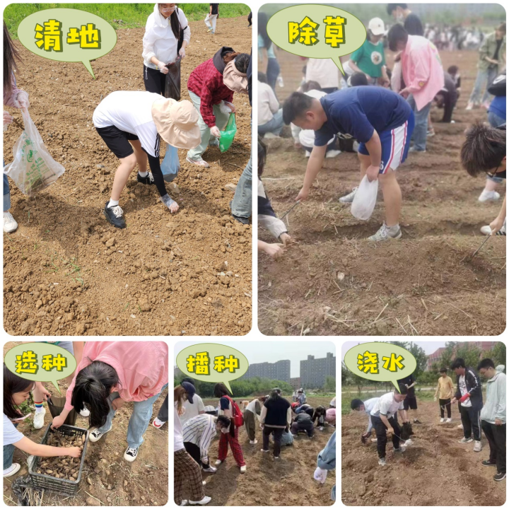 1685535903697028.png 图片1.png