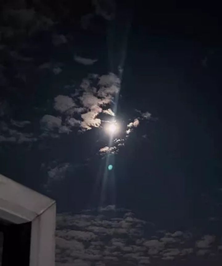 1633312403695651.jpg 640.webp (48).jpg